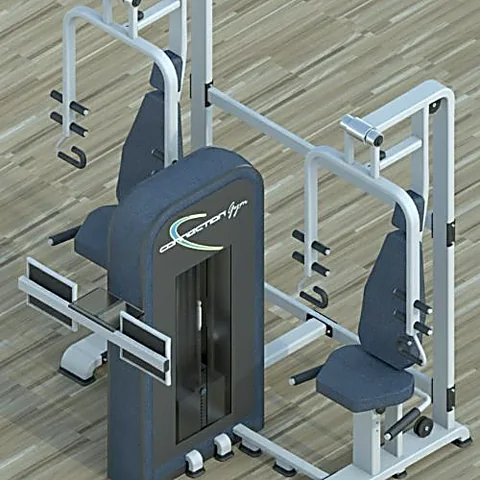 Vista posteriore del telaio del Tandem Workout